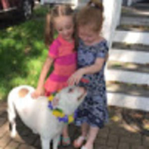 Meet your Posher, Peter